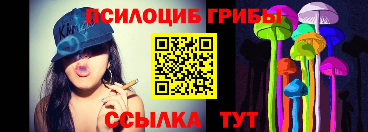 Псилоцибиновые грибы мицелий  Вход с VPN  Чебаркуль 